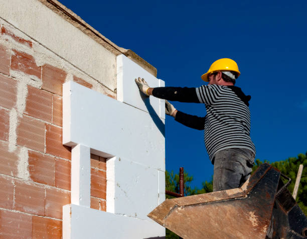 Best Cellulose Insulation  in Schleswig, IA