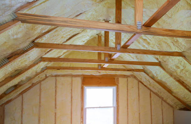 Best Crawl Space Insulation  in Schleswig, IA