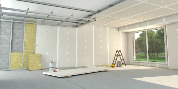 Best Spray Foam Insulation  in Schleswig, IA