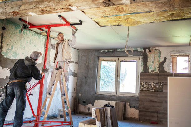 Best Attic Insulation Installation  in Schleswig, IA