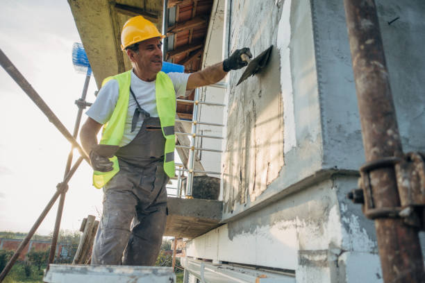 Best Insulation Contractors for Homes  in Schleswig, IA