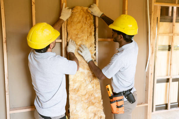 Best Insulation Repair Services  in Schleswig, IA