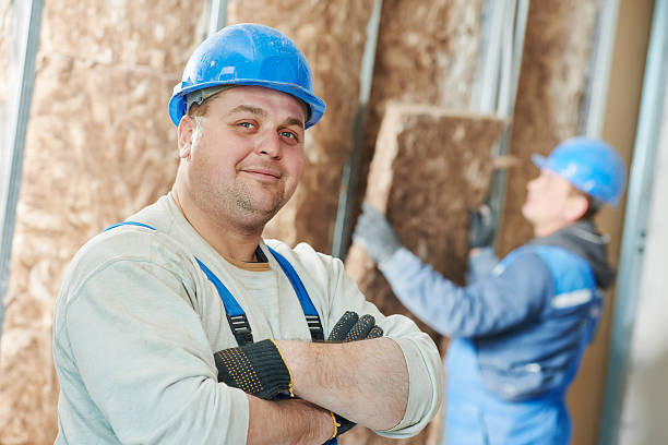 Best Garage Insulation Installation  in Schleswig, IA