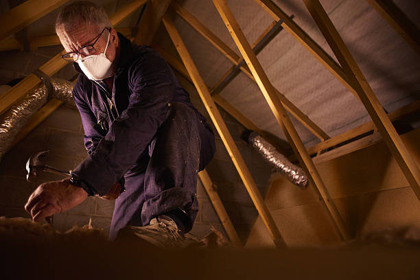 Best Spray Foam Insulation  in Schleswig, IA