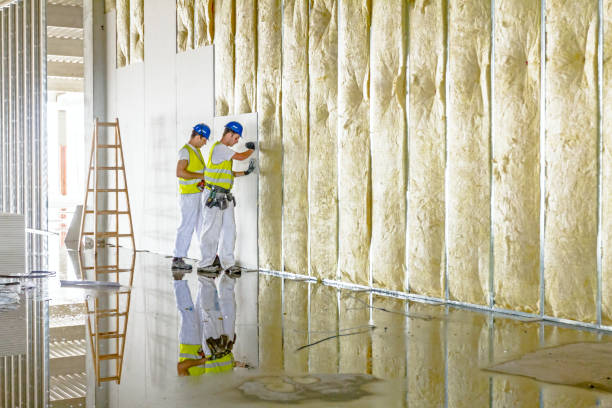 Soundproof Insulation Installation in Schleswig, IA